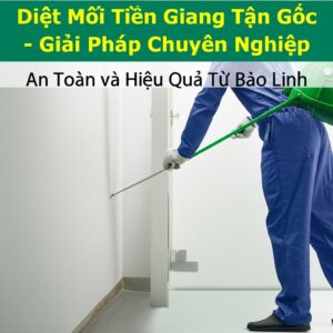Diệt Mối Tiền Giang Tận Gốc – Giải Pháp Chuyên Nghiệp, An Toàn và Hiệu Quả Từ Bảo Linh