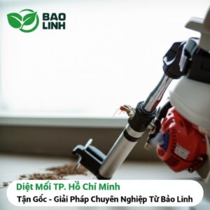 Diệt Mối TP. Hồ Chí Minh Tận Gốc – Giải Pháp Chuyên Nghiệp Từ Bảo Linh