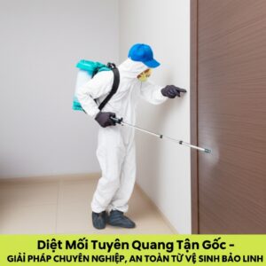 Diệt Mối Tuyên Quang Tận Gốc – Giải Pháp Chuyên Nghiệp, An Toàn Từ Vệ Sinh Bảo Linh