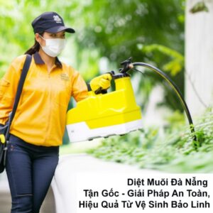 Diệt Muỗi Đà Nẵng Tận Gốc – Giải Pháp An Toàn, Hiệu Quả Từ Vệ Sinh Bảo Linh