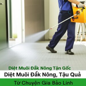 Diệt Muỗi Đắk Nông Tận Gốc: Giải Pháp An Toàn, Hiệu Quả Từ Chuyên Gia Bảo Linh