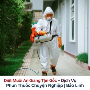 Diệt Muỗi An Giang Tận Gốc – Dịch Vụ Phun Thuốc Chuyên Nghiệp | Bảo Linh