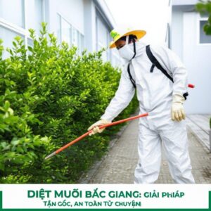 Diệt Muỗi Bắc Giang: Giải Pháp Tận Gốc, An Toàn Từ Chuyên Gia