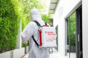 Diệt Muỗi Hải Phòng Tận Gốc: Giải Pháp Chuyên Nghiệp, An Toàn Tuyệt Đối