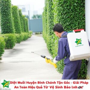 Diệt Muỗi Huyện Bình Chánh Tận Gốc – Giải Pháp An Toàn, Hiệu Quả Từ Vệ Sinh Bảo Linh