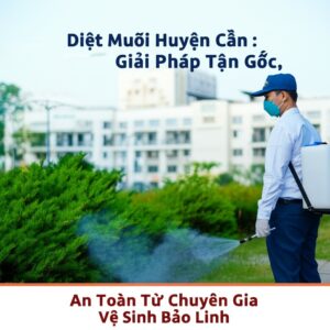 Diệt Muỗi Huyện Cần Giờ: Giải Pháp Tận Gốc, An Toàn Từ Chuyên Gia Vệ Sinh Bảo Linh