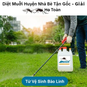 Diệt Muỗi Huyện Nhà Bè Tận Gốc – Giải Pháp An Toàn, Hiệu Quả Từ Vệ Sinh Bảo Linh