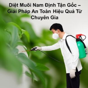 Diệt Muỗi Nam Định Tận Gốc – Giải Pháp An Toàn, Hiệu Quả Từ Chuyên Gia