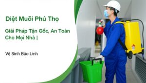 Diệt Muỗi Phú Thọ: Giải Pháp Tận Gốc, An Toàn Cho Mọi Nhà | Vệ Sinh Bảo Linh