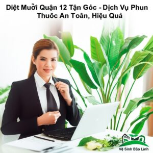 Diệt Muỗi Quận 12 Tận Gốc – Dịch Vụ Phun Thuốc An Toàn, Hiệu Quả | Vệ Sinh Bảo Linh