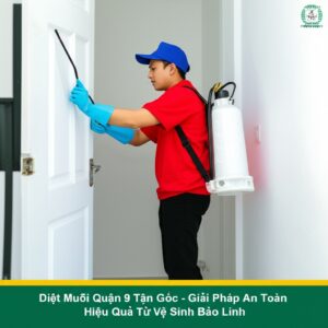Diệt Muỗi Quận 9 Tận Gốc – Giải Pháp An Toàn, Hiệu Quả Từ Vệ Sinh Bảo Linh
