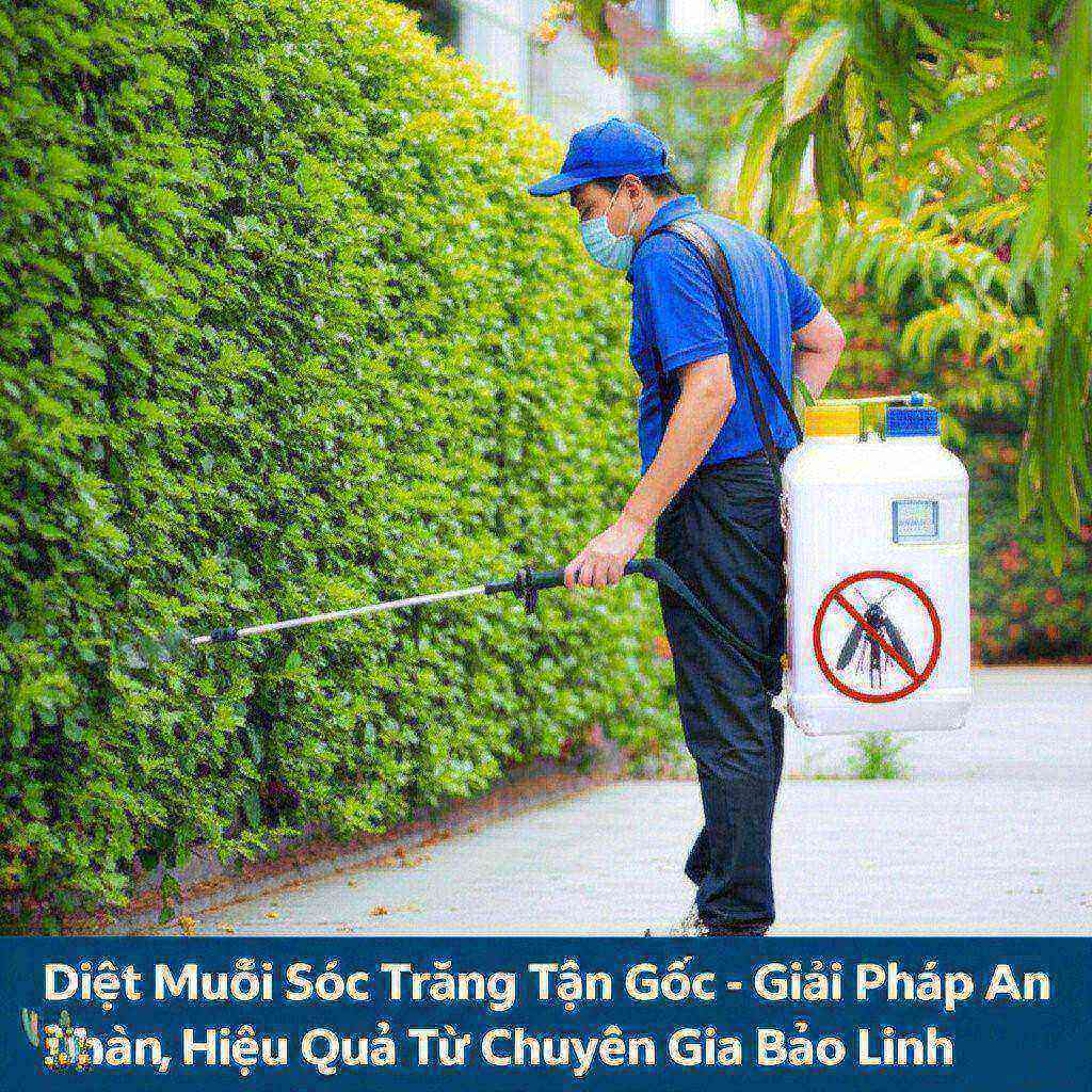Hình minh họa cho bài viết: Diệt Muỗi Sóc Trăng Tận Gốc - Giải Pháp An Toàn, Hiệu Quả Từ Chuyên Gia Bảo Linh