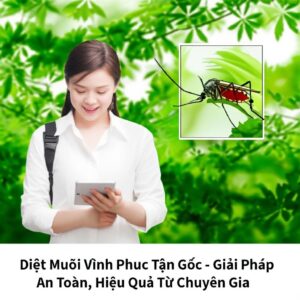 Diệt Muỗi Vĩnh Phúc Tận Gốc – Giải Pháp An Toàn, Hiệu Quả Từ Chuyên Gia