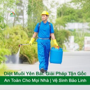 Diệt Muỗi Yên Bái: Giải Pháp Tận Gốc, An Toàn Cho Mọi Nhà | Vệ Sinh Bảo Linh
