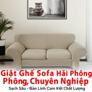 Giặt Ghế Sofa Hải Phòng Chuyên Nghiệp, Sạch Sâu – Bảo Linh Cam Kết Chất Lượng