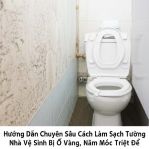 Hướng Dẫn Chuyên Sâu Cách Làm Sạch Tường Nhà Vệ Sinh Bị Ố Vàng, Nấm Mốc Triệt Để