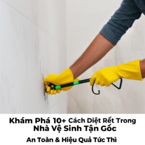 Khám Phá 10+ Cách Diệt Rết Trong Nhà Vệ Sinh Tận Gốc, An Toàn & Hiệu Quả Tức Thì