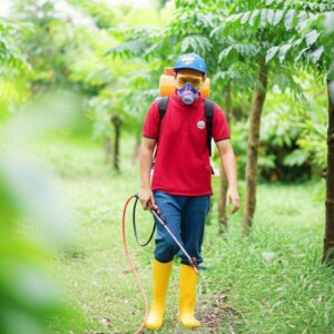 Phun Khử Trùng Đắk Lắk: Giải Pháp An Toàn – Hiệu Quả Từ Chuyên Gia Bảo Linh