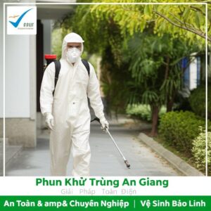Phun Khử Trùng An Giang: Giải Pháp Toàn Diện, An Toàn & Chuyên Nghiệp | Vệ Sinh Bảo Linh