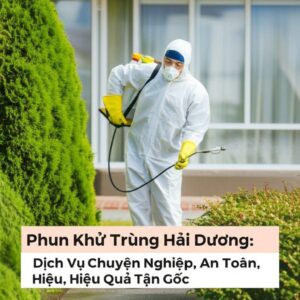 Phun Khử Trùng Hải Dương: Dịch Vụ Chuyên Nghiệp, An Toàn, Hiệu Quả Tận Gốc