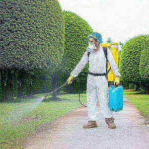 Phun Khử Trùng Hòa Bình: Giải Pháp An Toàn, Hiệu Quả Toàn Diện Tận Nơi