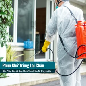 Phun Khử Trùng Lai Châu: Giải Pháp Bảo Vệ Sức Khỏe Toàn Diện Từ Chuyên Gia