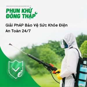 Phun Khử Trùng Đồng Tháp: Giải Pháp Bảo Vệ Sức Khỏe Toàn Diện, An Toàn 24/7
