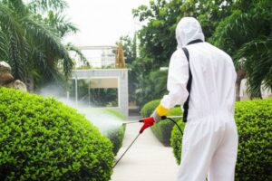 Phun Khử Trùng Quận Tân Phú – Giải Pháp Bảo Vệ Sức Khỏe Toàn Diện, An Toàn & Chuyên Nghiệp