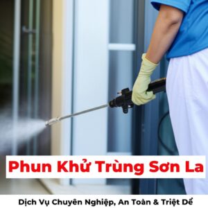 Phun Khử Trùng Sơn La: Dịch Vụ Chuyên Nghiệp, An Toàn & Triệt Để