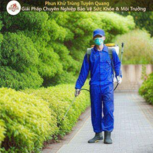 Phun Khử Trùng Tuyên Quang: Giải Pháp Chuyên Nghiệp Bảo Vệ Sức Khỏe & Môi Trường