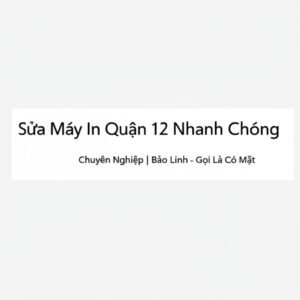 Sửa Máy In Quận 12 Nhanh Chóng, Chuyên Nghiệp | Bảo Linh – Gọi Là Có Mặt